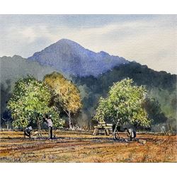 John Freeman (British 1942-): 'Picking Apricots - Mallorca', watercolour signed and dated '83, titled verso 20cm x 24cm