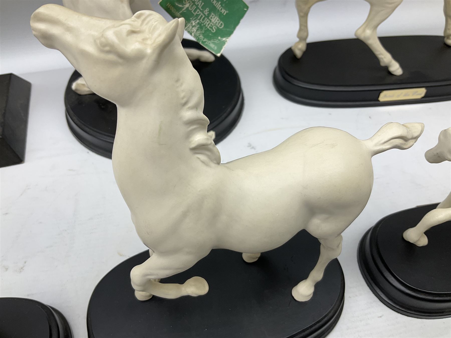 Six Royal Doulton horse figures in a matt finish on plinths, to include Spirit of the wind, Spirit of the wild, Springtime etc