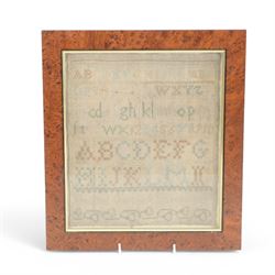 Three framed samples, including 19th century alphabet sampler by Pheobe Bolter aged 9 years, largest H51cm, W26cm 
