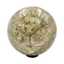 Fossilised coral sphere, upon a carved stone base, D10cm