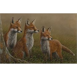 Robert E Fuller (British 1972-): Red Foxes in Long Grass, limited edition colour print signed and numbered 8/850 in pencil 20cm x 30cm