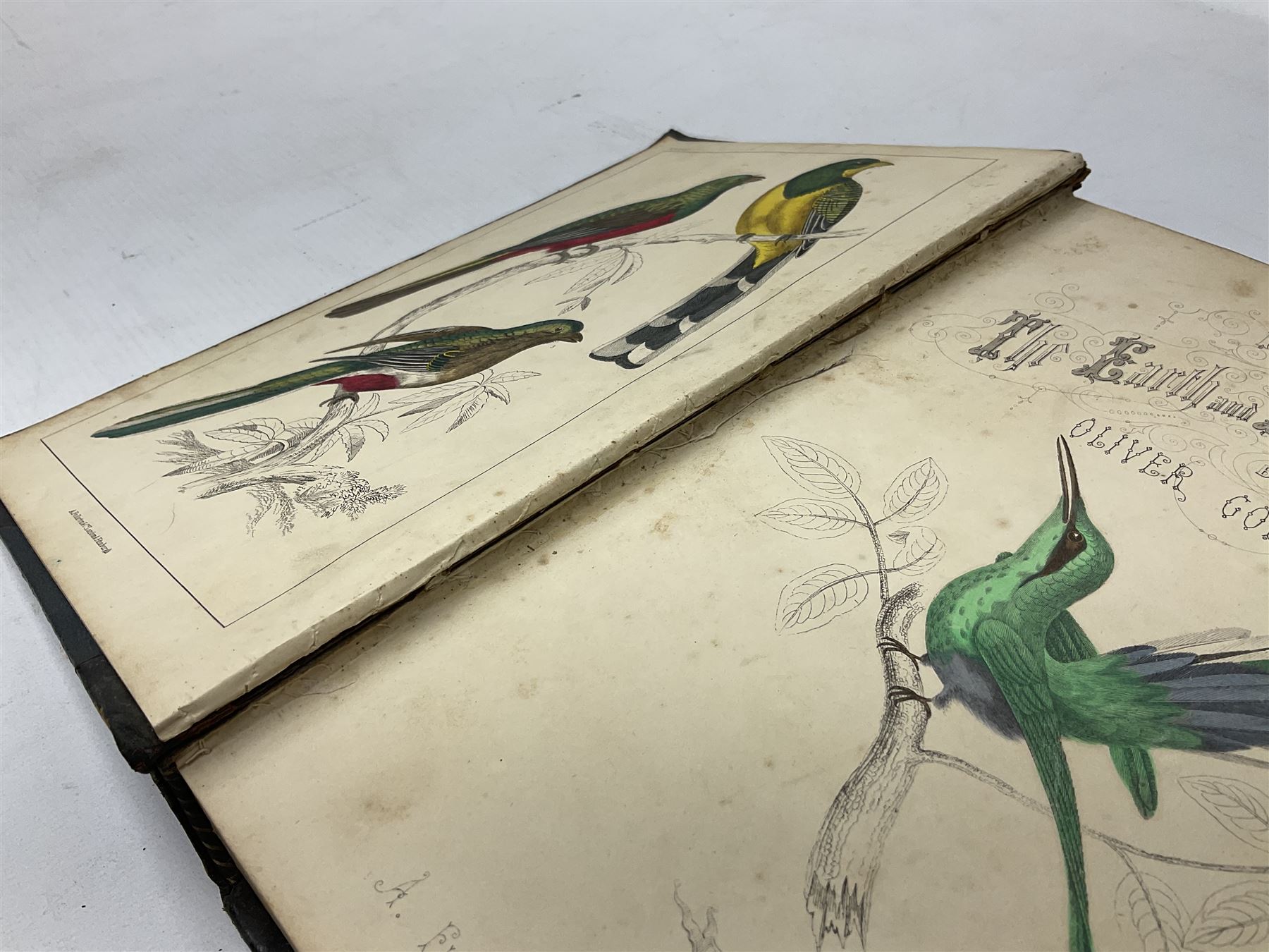 Goldsmith, Oliver; A History of the Earth and Animated Nature, 2 volumes, pub. Fullarton, Edinburgh and London, illustrated with coloured plates, cloth and leather bound with marbled edges (2)