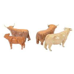 Beswick Highland Cattle family group, comprising bull, cow and calf, together with Charolais bull