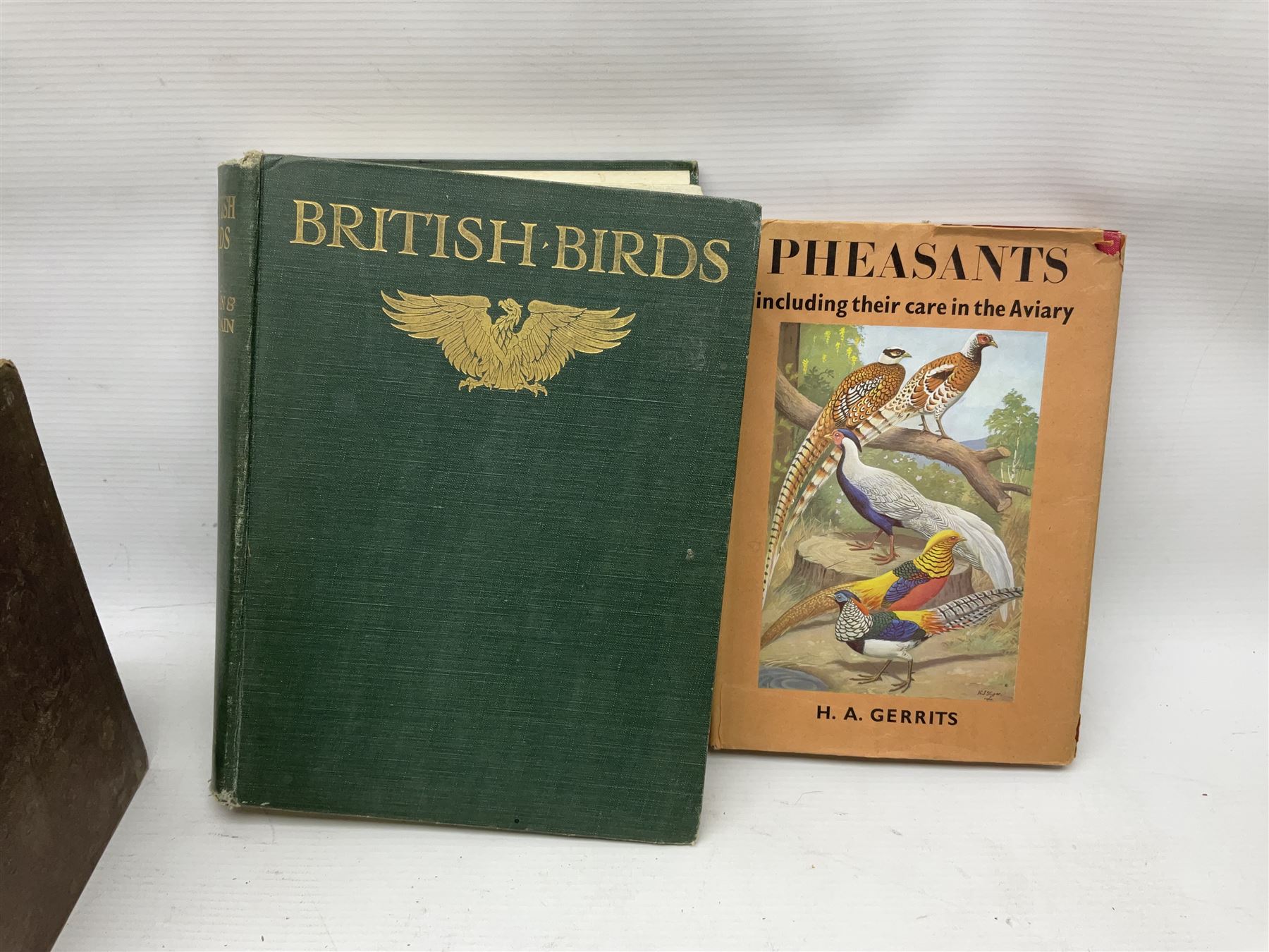 Books - Natural History - Robert Mudie, Mudies British Birds, The Feathered Tribes of the British Isles, two volumes, second edition, Whittaker & Co., Ave Maria Lane, London, 1735, chromolithographic plates, Peter Scott, Morning Flight, A Book of Wildfowl, Hazell, Watson & Viney Ltd, London and Aylesbury, 1947, F B Kirkman & F C R Jourdain, British Birds, London T C & E C jack Limited, Edinburgh, 1932, plus other examples on ornithology, (7)


