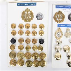Collection of military cap badges and buttons examples from Royal Air Force, Royal Marines, Royal Navy, Air Training Corps, Women's Auxilary Service and Womans Royal Army Corps  