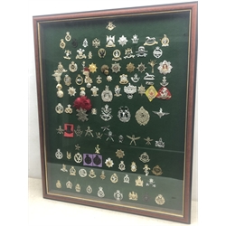  Large collection of approx 100 British Army Regimental & Corps Cap badges including Gurkha, Cavalry, Guards, RE, Infantry, Para, AGC, Royal Marines, etc, framed, 75cm x 60cm    
