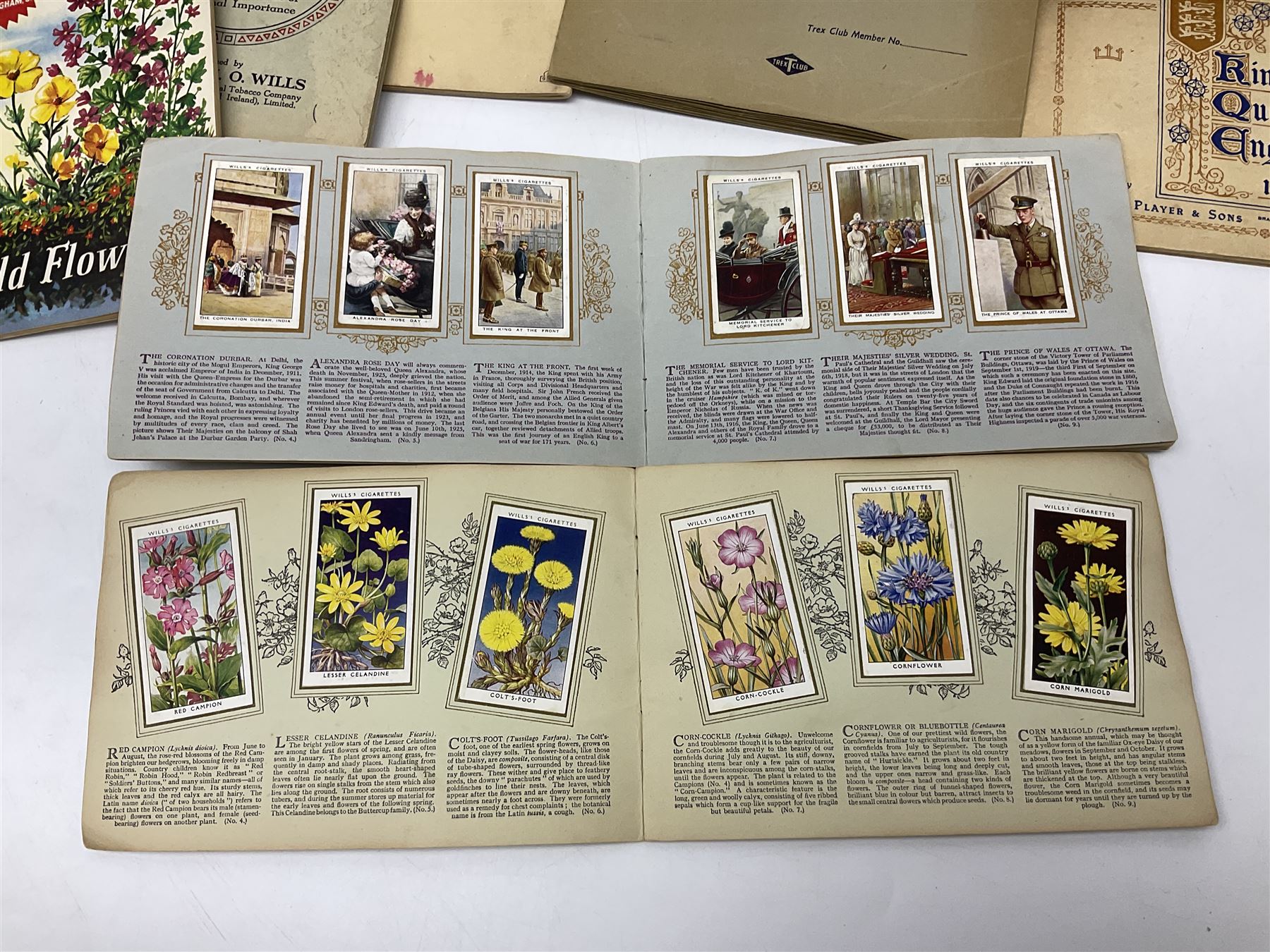 Vanity Fair Spy print, a Tory, together with six Royal Staffordshire the Biarritz side plates, and a collection of posters and ephemera 