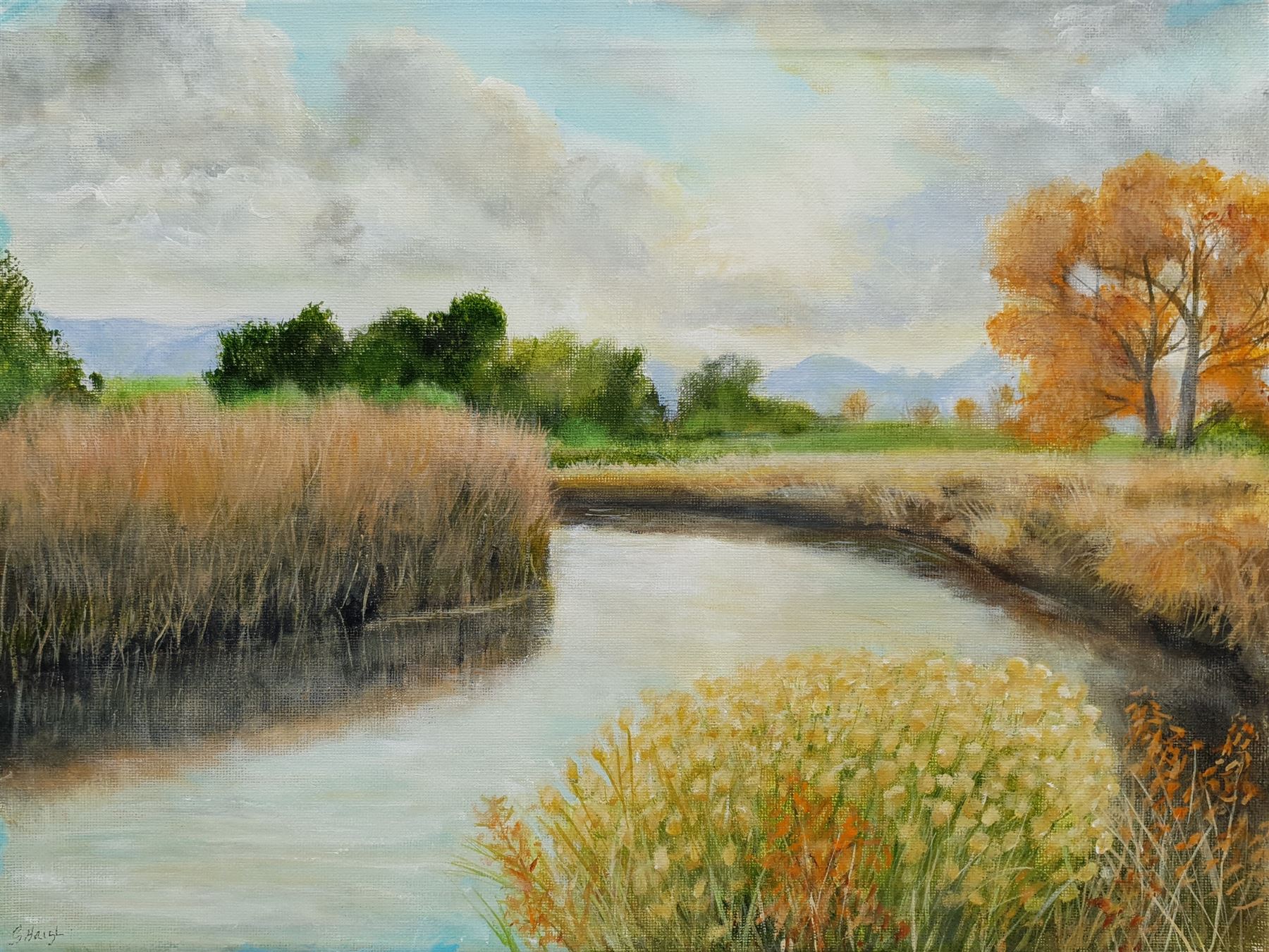 Gary Haigh (Northern British Contemporary): 'Reeds and River', oil on canvas signed 30cm x 40cm (unframed)