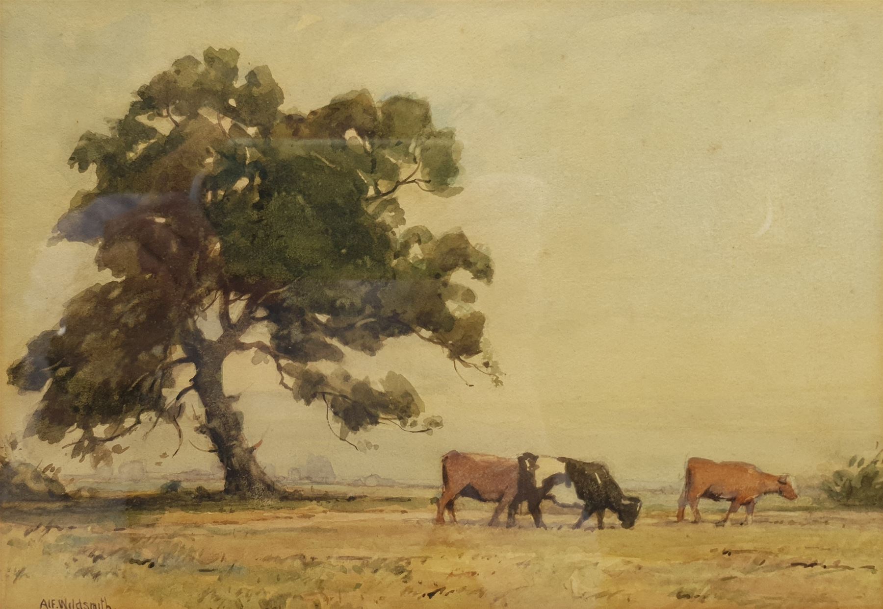 Alfred Wildsmith (British 1876-1936): Cattle Grazing, watercolour signed and dated 1921, 17cm x 25cm