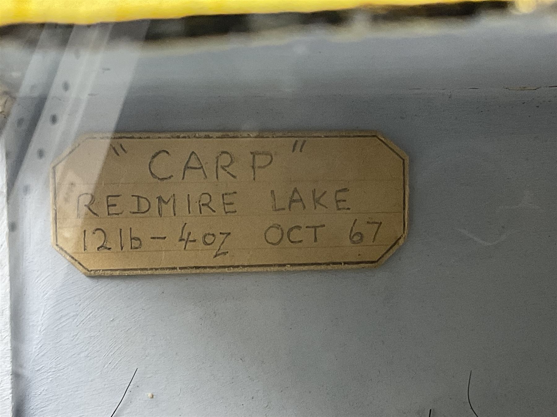 Taxidermy; Cased Mirror Carp (Cyprinus carpio carpio) a large preserved skin mount 
in a naturalistic setting set against blue painted back drop, enclosed within a glass bow fronted case, the interior bearing a label 'Carp Redmire Lake 12 lb 4 oz Oct 67' H42 cm W87 cm D27 cm