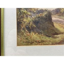 Albert George Stevens (Staithes Group 1863-1925): North Yorkshire Country Lane, watercolour signed 19cm x 27cm