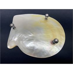 Mother of pearl shell dish, on three bun feet, D15cm