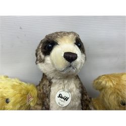Seven modern Steiff teddy bears comprising two limited edition '1908 Paul the Growler' bears Nos.1124/3000 and 1310/3000; 028649 Classic Teddybear 23; 005992 Classic Teddybear 28 (black); 071249 Mungo Meerkat 30; 079139 Reclining dog for American Kennel Club; and 029561 Petsy gespitzt (1928) 16cm; together with a Mrs. McCatty's limited edition 2156 Sophie bear No.1557/1750; all unboxed but most with labels (8)