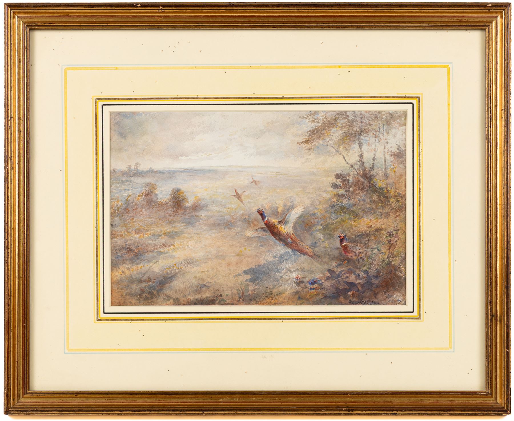 James Stinton (British 1870-1961): Pheasants Breaking Cover, watercolour signed 17cm x 26cm