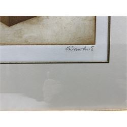 Tighe O'Donoghue (American 1942-2023): 'Echoing Green', etching with aquatint signed titled and numbered 28/30, 37cm x 45cm 