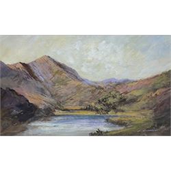 Colin Russell (Middlesbrough 1932-2009): Lake District Landscape, oil on board signed 24cm x 41cm