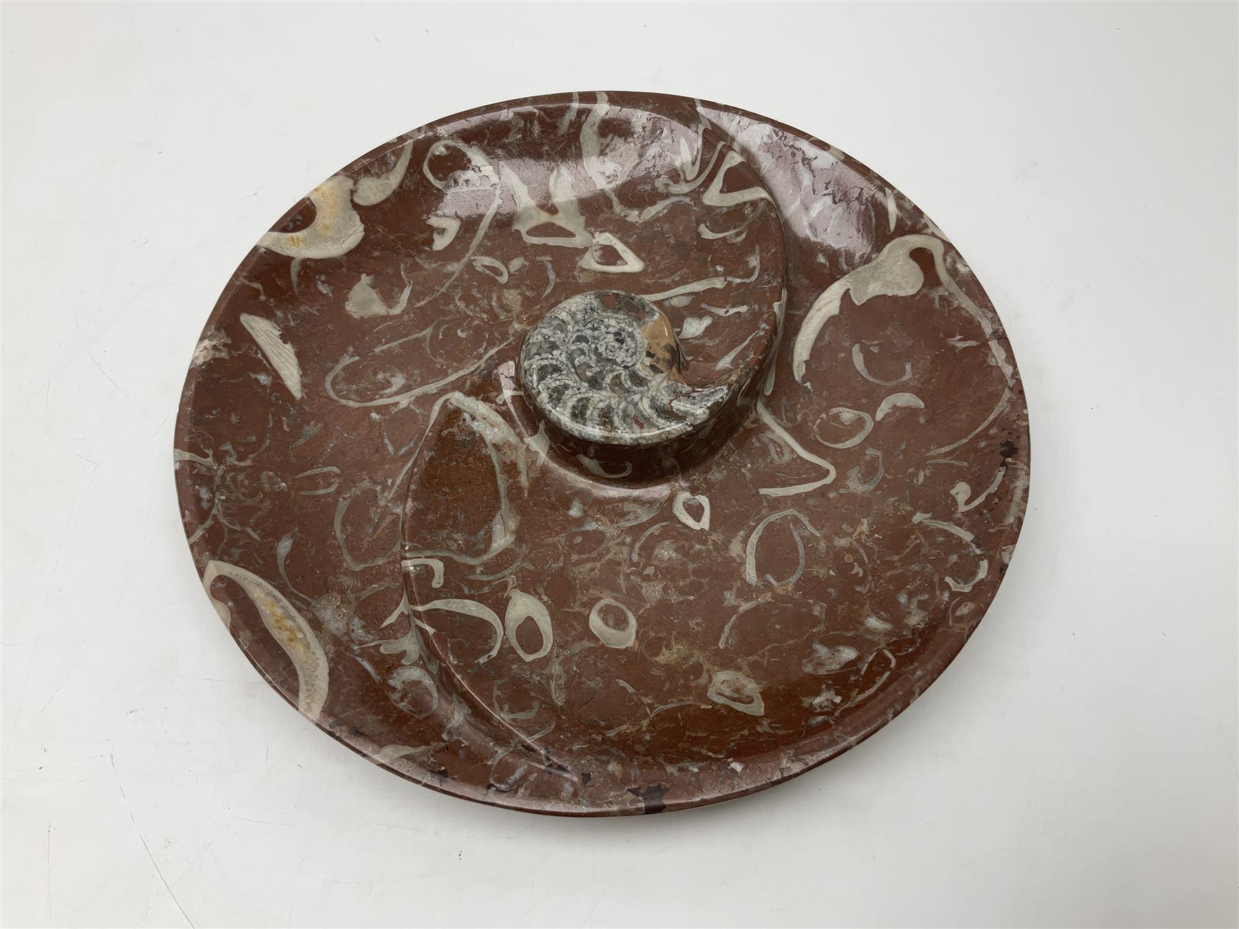 Large circular dish with a raised Goniatite to the centre and Orthoceras inclusion, age: Devonian period, location: Morocco, D30cm