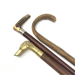 Three walking canes, to include example with brass handle modelled as the head of a hound, and another with horn handle. 