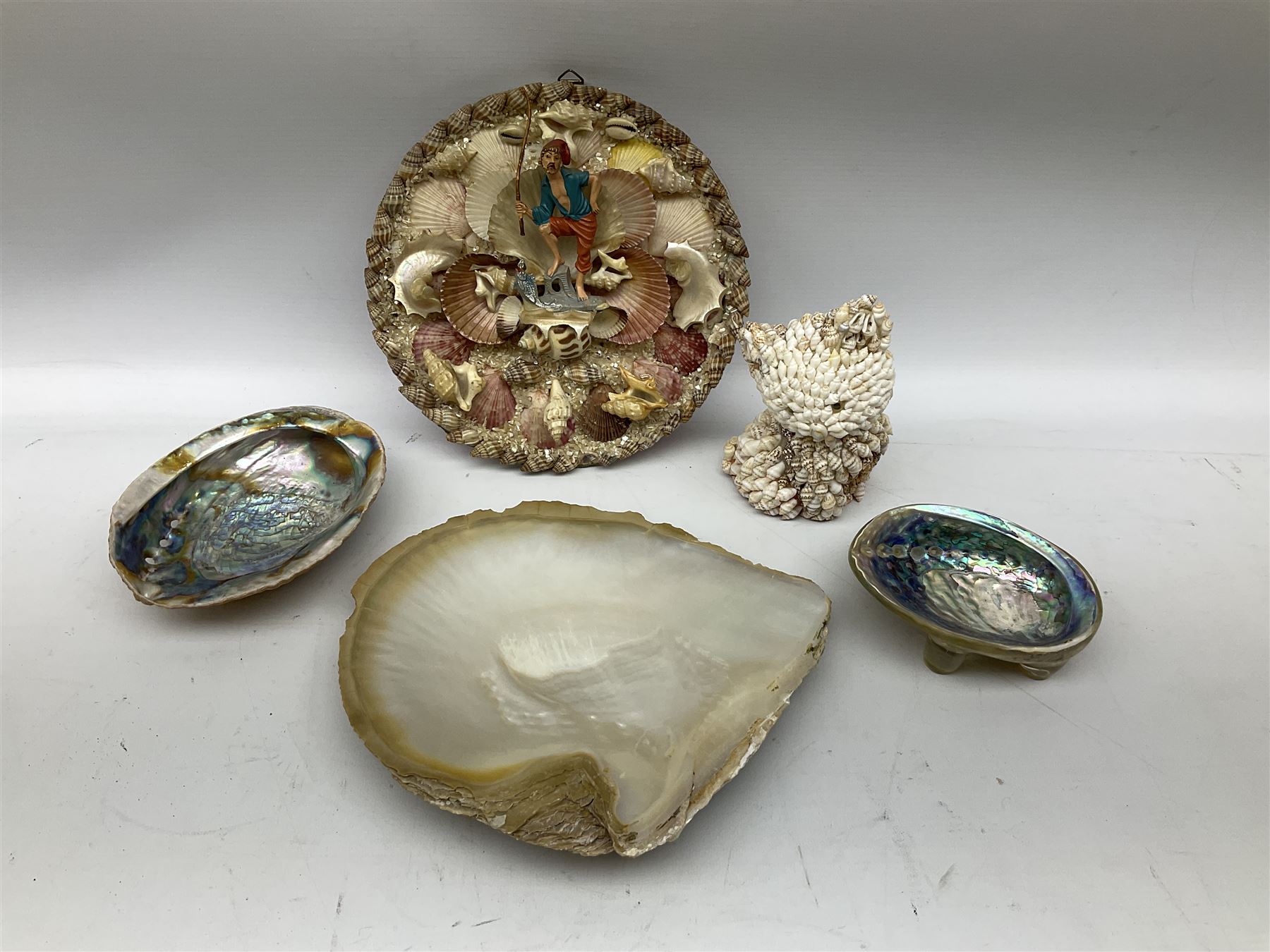 Various shells to include mother of pearl open mollusk shells, Queen Conch (Strombus Gigas), other smaller conch, fossils and other shells in two boxes