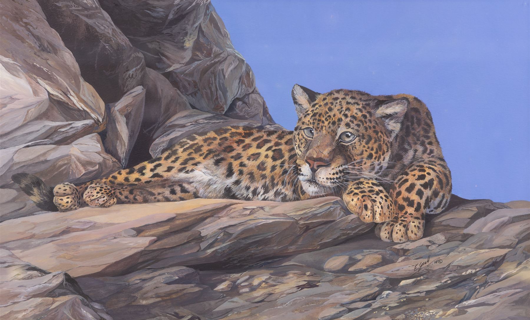 Elaine C Geall (British 1976-): 'African Leopard' and 'Patient Observer - Tawny Owl', acrylic on paper signed, titled verso 29cm x 48cm and 53cm x 35cm (2)