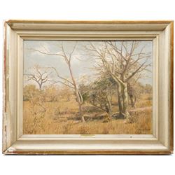 Cecil Thornley Stewart (South African 1881-1967): 'Fever Trees - Eastern Transvaal', oil on board signed, titled on the mount 55.5cm x 76cm