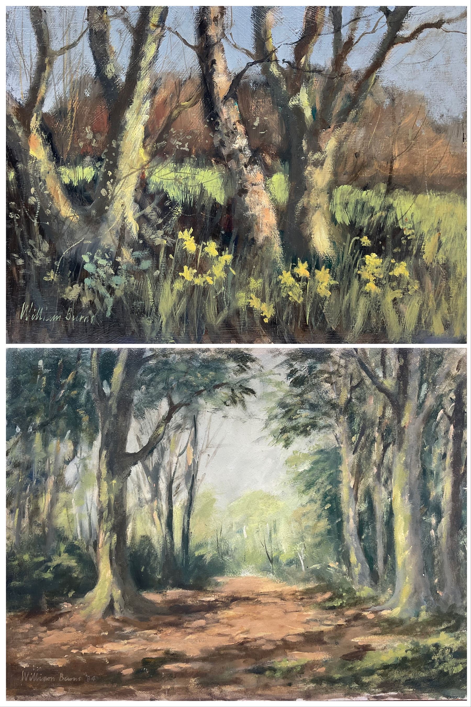 William Burns (British 1923-2010): 'Daffodils in Spring' and 'A Path in the Woods', pair oils on board signed, titled verso 26cm x 35cm (2) (unframed)
Provenance: direct from the family of the artist