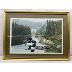 Frank DeMatteis (Canadian 1952-): Great Northern Divers, limited edition print signed and numbered 244/500, 58cm x 87cm