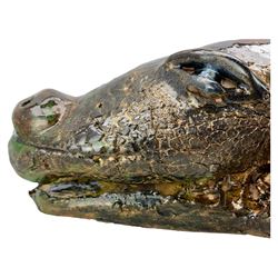Galea Belinscaia (Yorkshire, Contemporary): Stoneware model of a baby alligator, with textured glaze finish, L56cm 