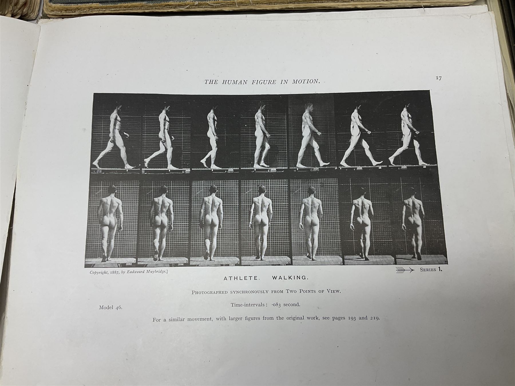 Muybridge, Eadweard; The Human Figure in Motion, London, Chapman & Hall Ld, Art, Wright, J Wright; The Sculpture and Art Students' Guide to the Proportions of the Human form, plates reproduced by John Sutcliffe, Luard L.D; Horse and Movement, London Cassell and Company ltd, with eight plates in colour and twenty-four in half-tone, together with other folious    