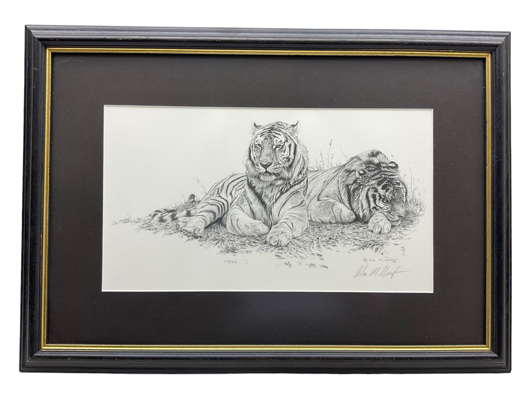 Alan M Hunt (British 1947-): 'Little Princes' - Tiger Cubs, limited edition print signed and numbered 274/450 in pencil 41cm x 56cm; Two Tigers, limited edition monochrome print signed and numbered 593/950 in pencil 20cm x 36cm; together with two further prints of tigers by other artists 23cm x 19cm and 42cm x 53cm (4)