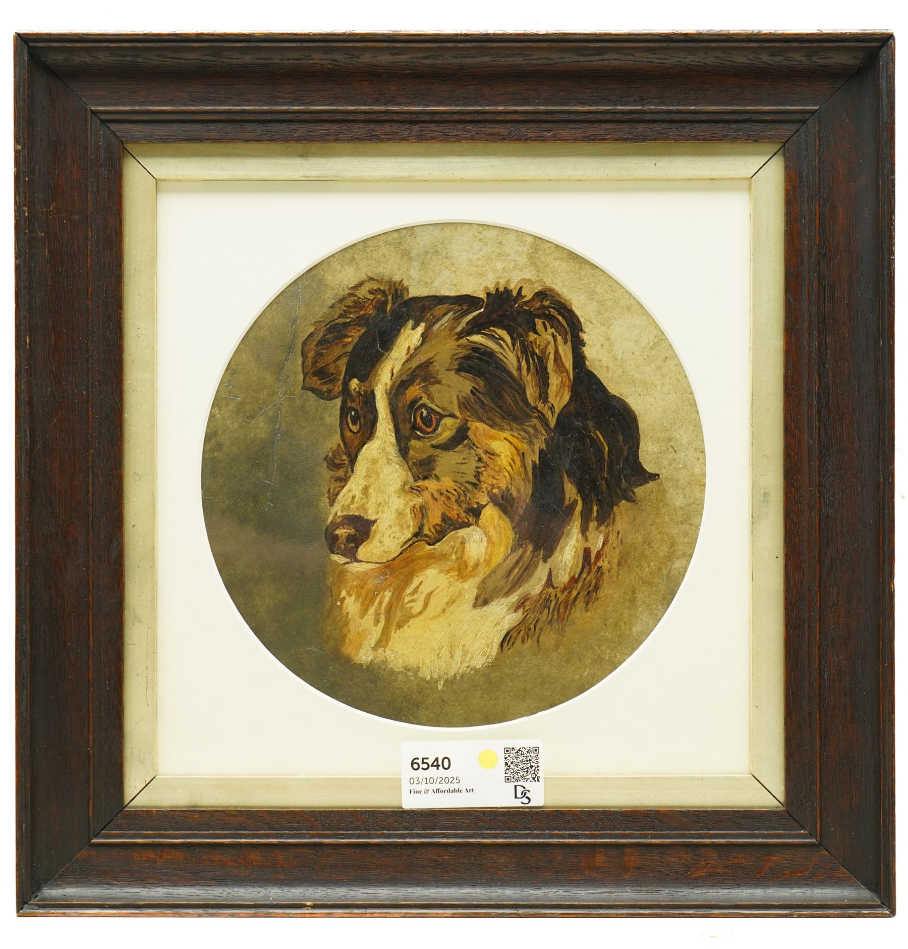 English School (19th century): Portrait of a Border Collie