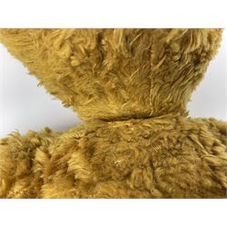 Teddy bear with plush covered woodwool filled body, the revolving head with boot button type eyes and vertically stitched nose and mouth to the long snout, humped back and jointed limbs with long curving arms and felt pads H54cm