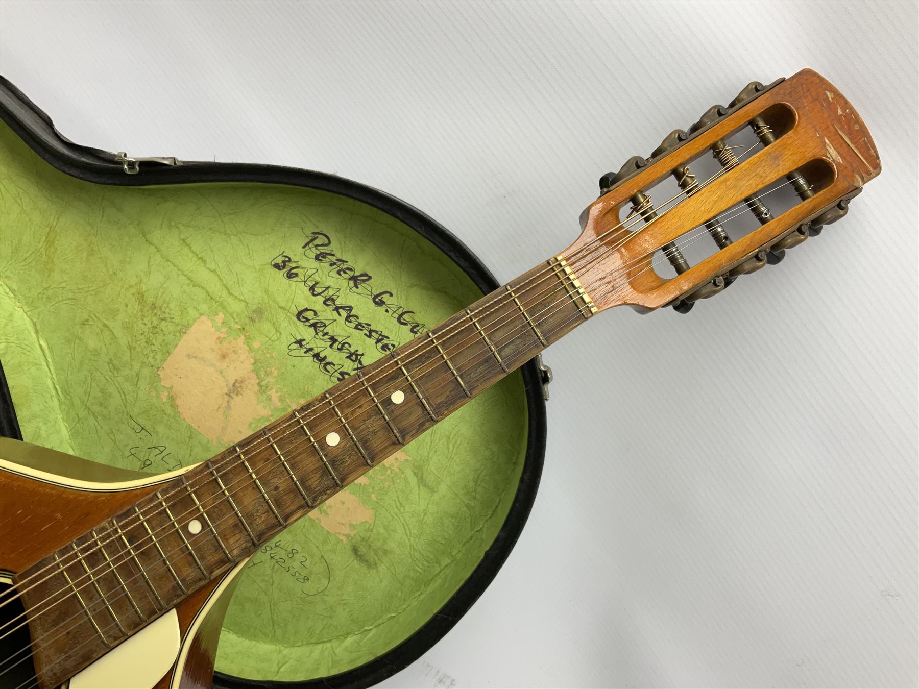 Rosetti Serenader eightstring mandolin with slightly bowed segmented
