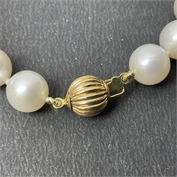 Fresh water pearl bracelet, with 14ct gold clasp, stamps 585