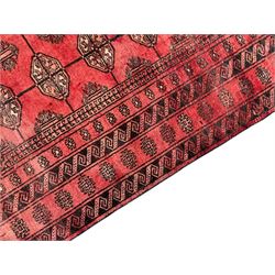 Afghan Bokhara red ground rug, the field decorated with three rows of Gul motifs, within multiple band borders decorated with trailing hook and geometric motifs 