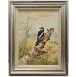 Richard Tratt (British 1953-): Great Spotted Woodpecker, oil on canvas signed and dated 1990, 39cm x 28cm; Mollie Everett Field (British 1939-): Portrait of a Lion, watercolour signed 20cm x 20cm