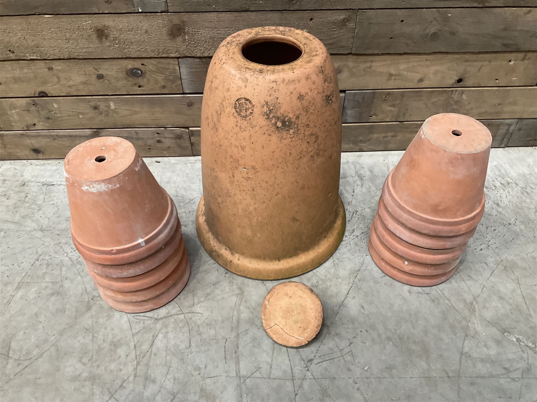 Yorkshire Flower Pots - Terracotta rhubarb forcer (H49cm, D40cm) and ten Sankey terracota plant pots (H17cm, D20cm)