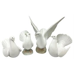 Four Lladro dove figures, comprising Taking Flight no 6288, Dove no 1015, Proud Dove no 6290 and Peaceful Dove no 6289, all with original boxes, largest example H20.5cm 
