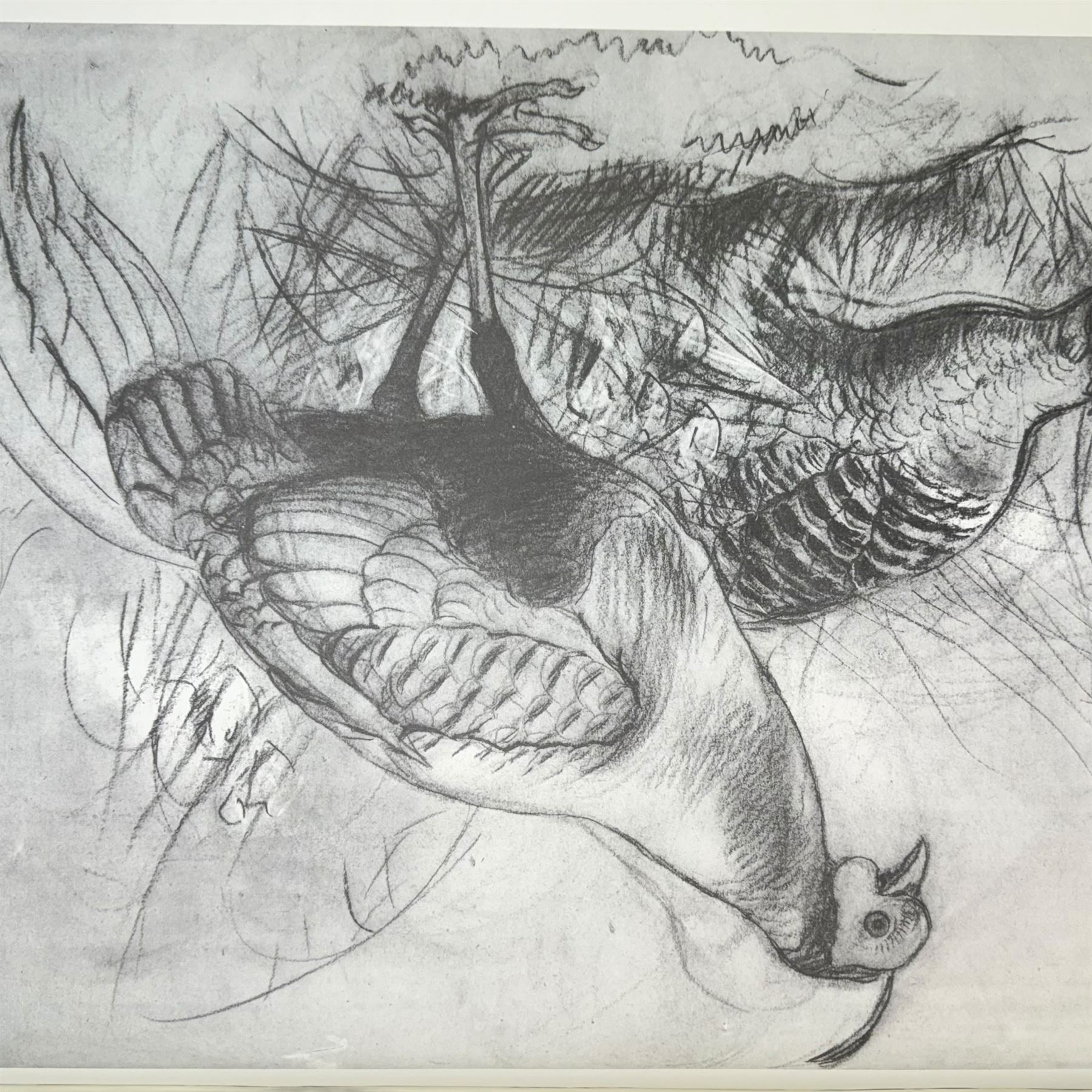 Joseph Wolf, Pheasant Drawings, limited edition folio, pub. The Allen Publishing Company, Hull 1988