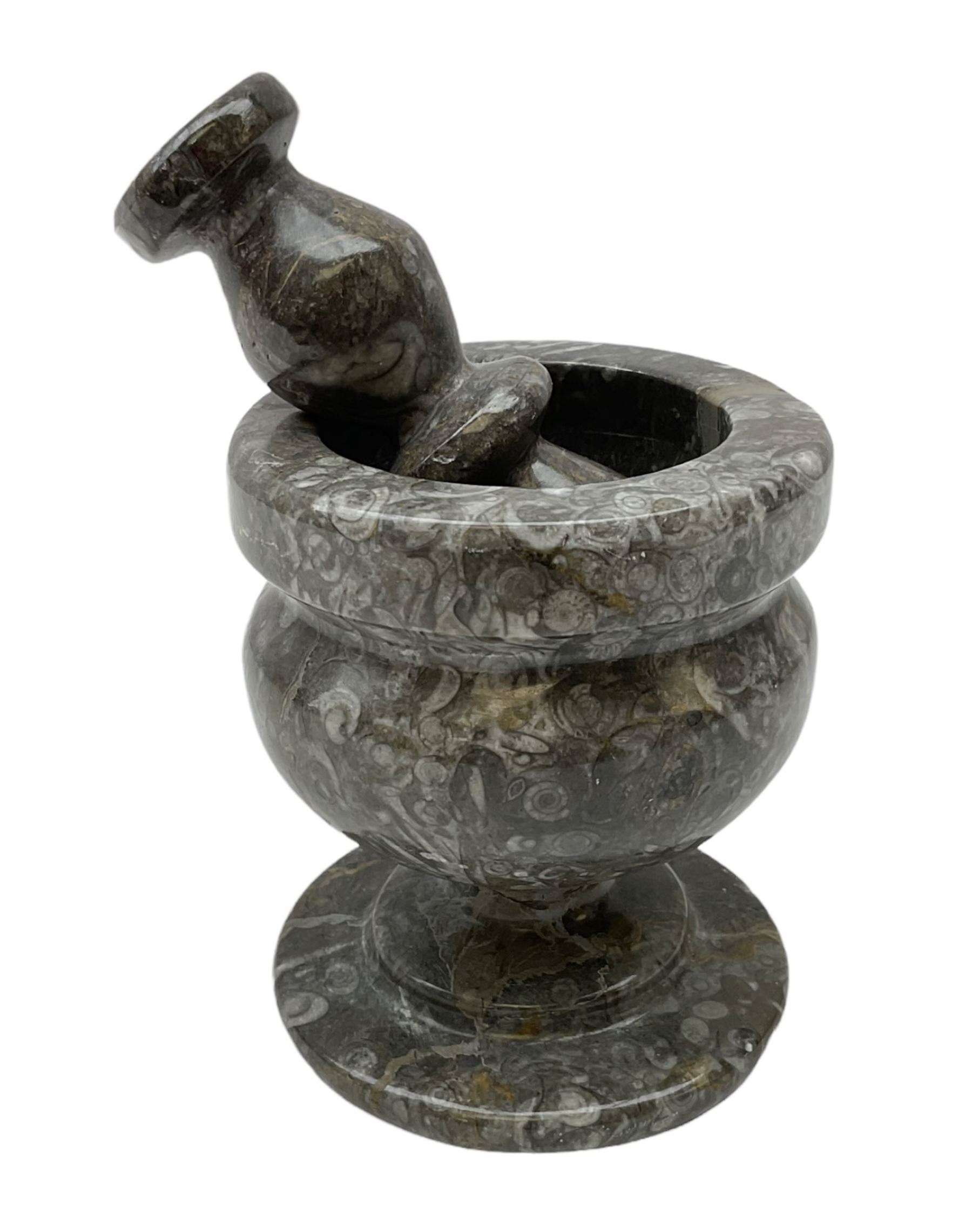 Polished Ammonite and Orthoceras Fossil Mortar & Pestle Polished Ammonite and Orthoceras Fossil Mortar & Pestle