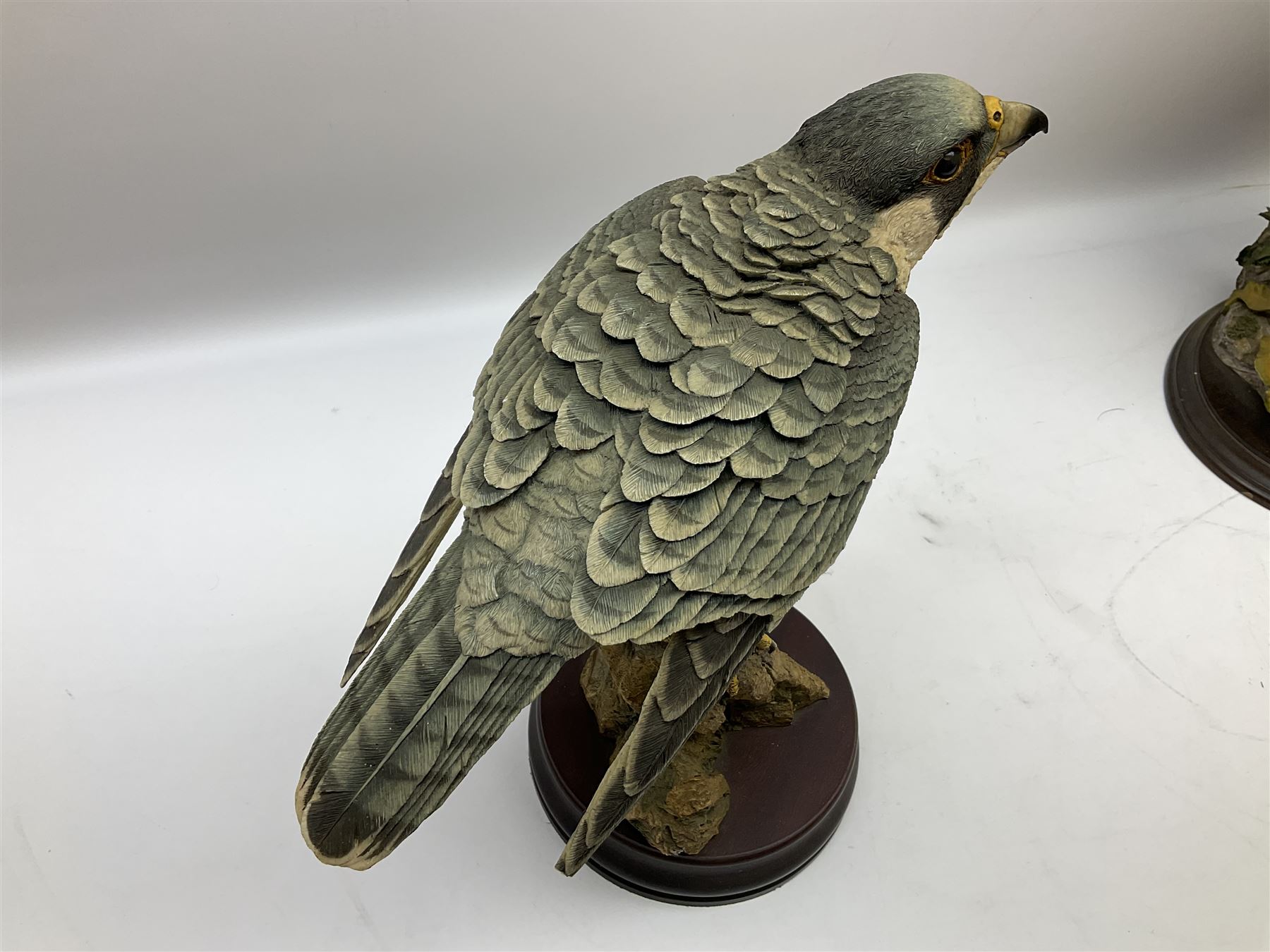 Country Artists figure of a peregrine falcon ' Lord of the Skies ' by David Ivey, limited edition, H44cm, together with two Sherratt and Simpson figures, both of peregrine falcons perched on branches. 