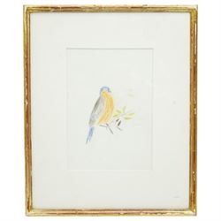 Craigie Aitchison (Scottish 1926-2009): Bluebird Study, pencil crayon signed and dedicated verso 22cm x 15cm
Provenance: gifted directly by the artist to the vendor as a wedding gift