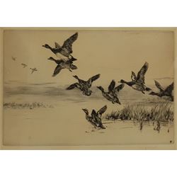 Winifred Maria Louise Austen (British 1876-1964): Mallards in Flight, drypoint etching signed in pencil 22cm x 30cm