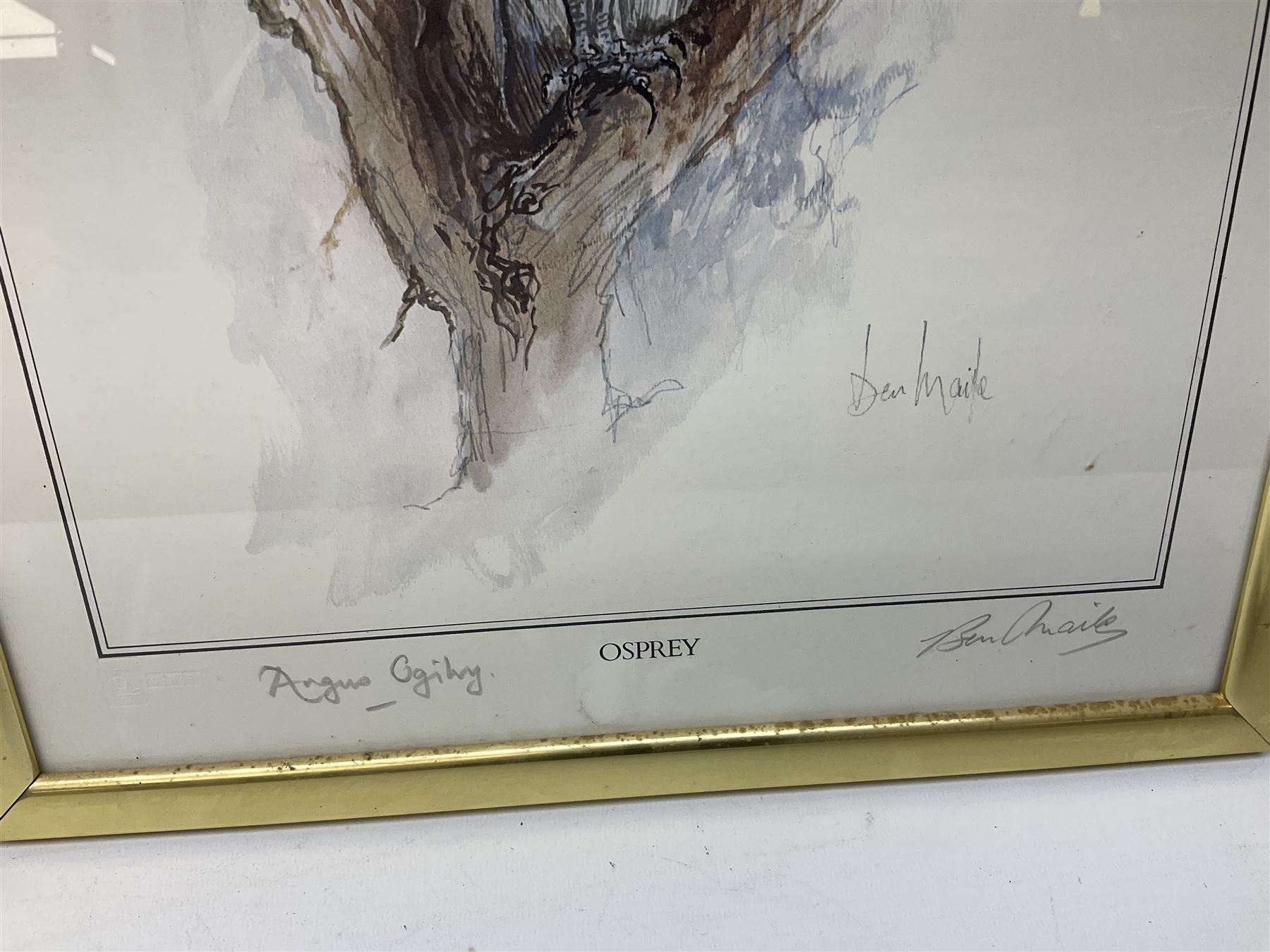 After Ben Maile (British 1922-2017): 'Blackcock' and 'Osprey', pair colour prints signed in pencil together with a print of a Terrier after Mick Causton and three horse related prints max 40cm x 28cm (6)