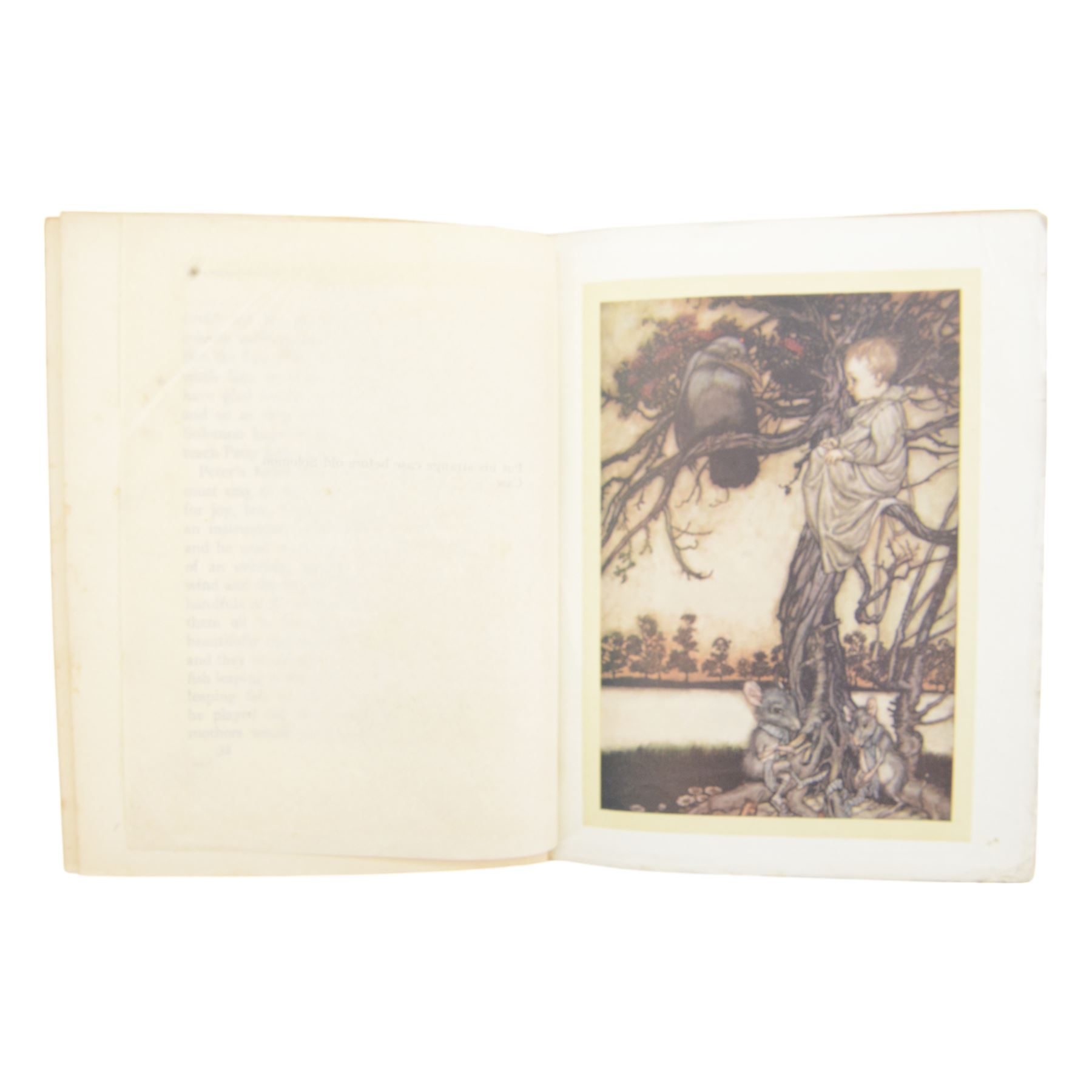 Barrie, J.M; 'Peter Pan in Kensington Gardens', first edition, pub. Hodder & Stoughton, London, with illustrations by Arthur Rackham, in red cloth with gilt vignette and lettering to spine