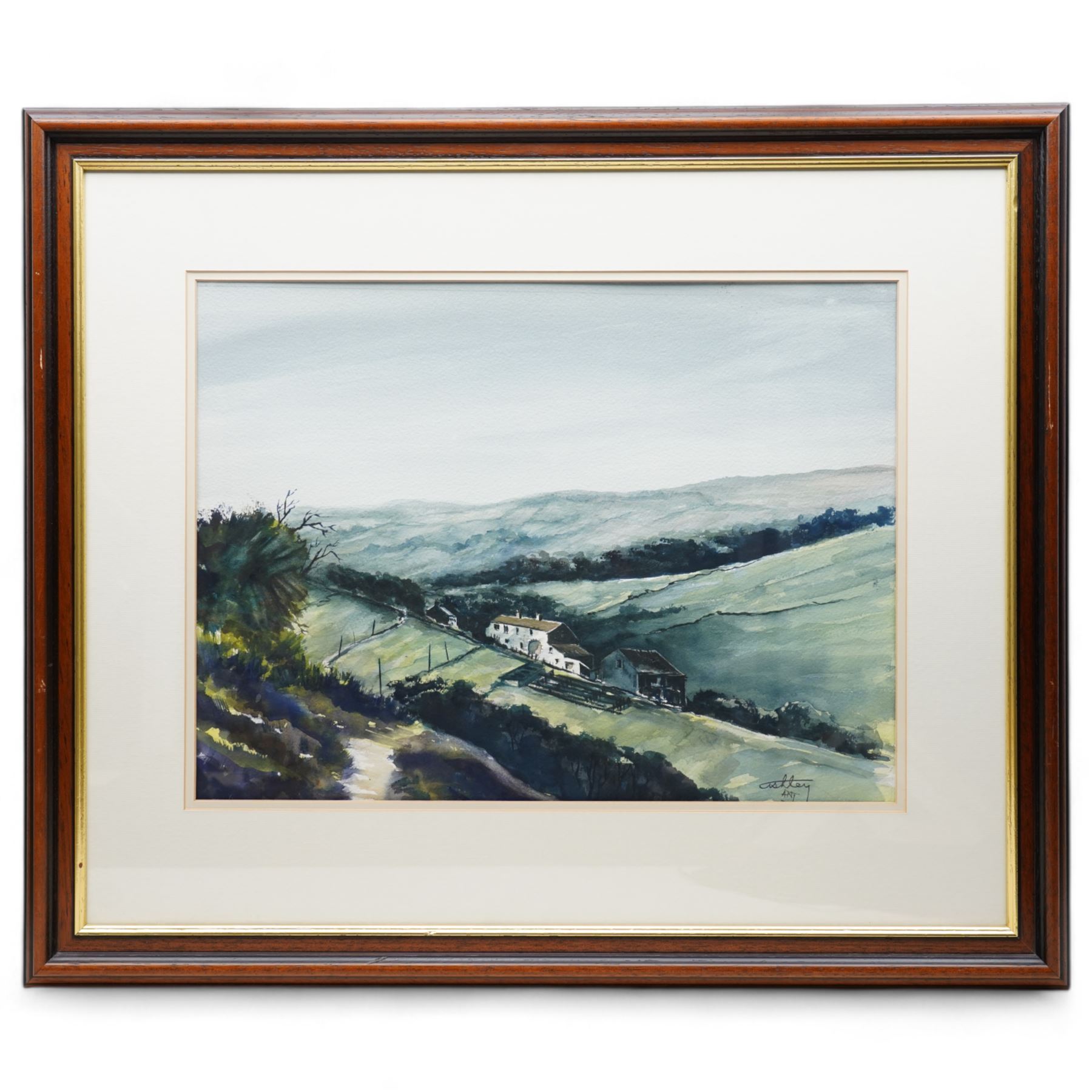 Ashley Jackson (Yorkshire 1940-): 'Surprise Video - Threshfield', watercolour signed, titled on accompanying certificate of authenticity 41cm x 55cm
Provenance: Purchased directly from the artist as part of his TV series 'A Brush with Ashley'