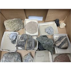 Natural history; Collection of rock, mineral, crystal and fossil specimens to include gryphaea, desert rose, belemnites, graptolite, brachiopod etc, together with a quantity of replica specimens in five boxes, many named 