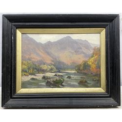 Augustus William Enness (British 1876-1948): Highland River, oil on panel signed 24cm x 34cm