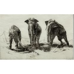 Leonard Robert Brightwell (British 1889-1962): 'Kings in Exile', drypoint etching signed and titled in pencil pub. James Connell & Sons 24cm x 38cm