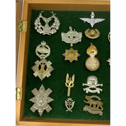 Cased display of twenty-two Glengarry and cap badges including Gordon Highlanders, Argyll & Sutherland, Black Watch, Royal Scots, Kings Own Scottish Borderers, Royal Highland fusiliers etc